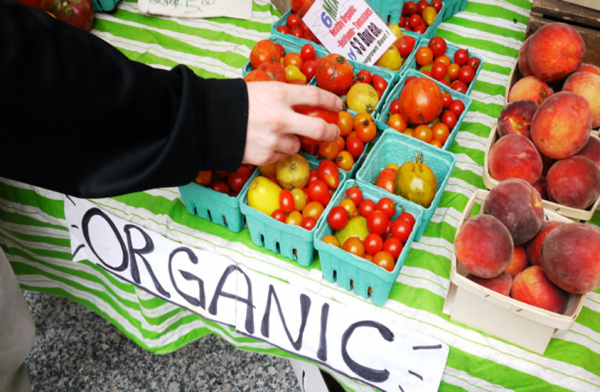 Food Politics