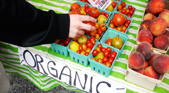Food Politics