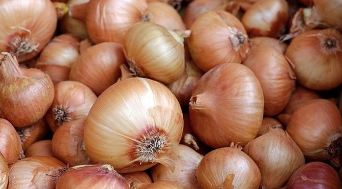 Onion