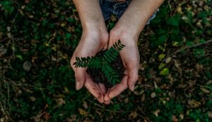 https://healthylife.werindia.com/picture-of-the-day/earth-day-cleaning-planet