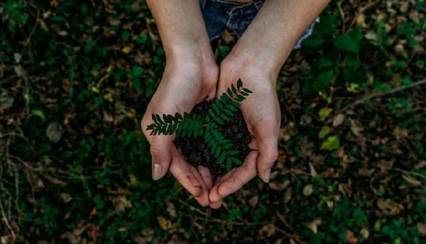 https://healthylife.werindia.com/picture-of-the-day/earth-day-cleaning-planet