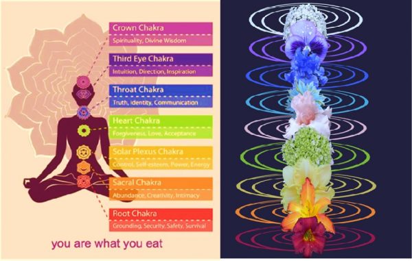You are what you eat