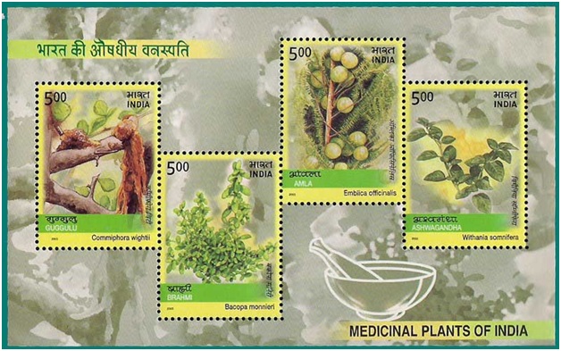 Plants amongst us