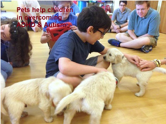 Social Support for Autistic & ADHD Children