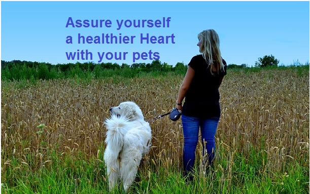 A Healthier Heart