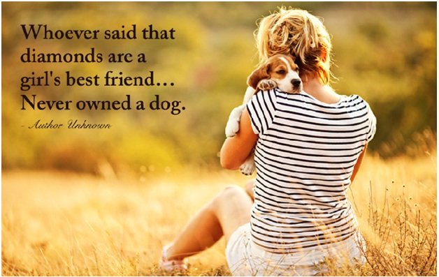 INFLUENCE OF PETS ON HUMANS HEALTH