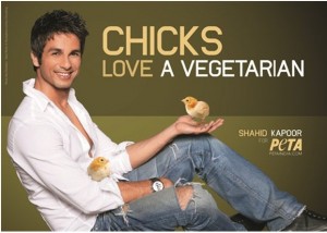 Shahid Kapoor: Bollywood Actor