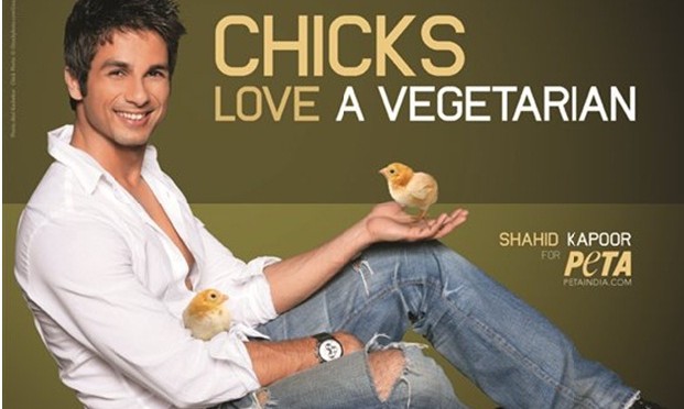 Shahid Kapoor: Bollywood Actor