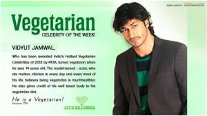 Vidyut Jamwal: Bollywood’s actor