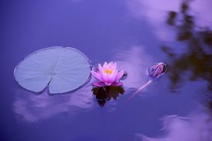 QUICK WAYS TO GET OUT OF STRESS TO RELAX BODY AND MIND