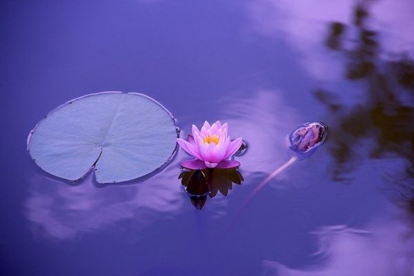 QUICK WAYS TO GET OUT OF STRESS TO RELAX BODY AND MIND