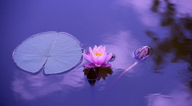 QUICK WAYS TO GET OUT OF STRESS TO RELAX BODY AND MIND