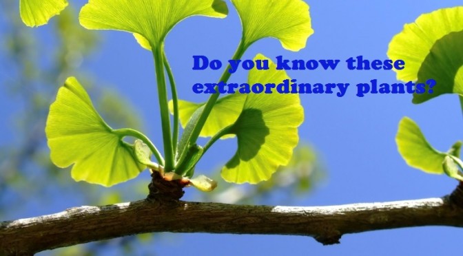Do you know these extraordinary plants?