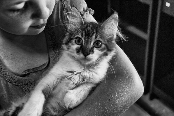 PET THERAPY: PET LOVE IS THE BEST MEDICINE