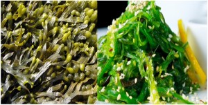 Seaweeds