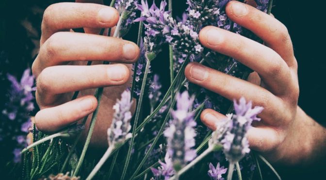 Aromatherapy