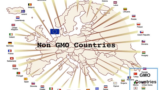 Another country banned GMOs: Germany Follows Scotland’s Lead And Opts To Ban GMOs