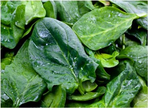 Spinach and Other Greens