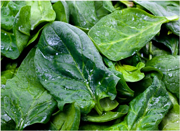 Spinach and Other Greens