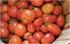 Tomatoes