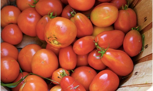 Tomatoes