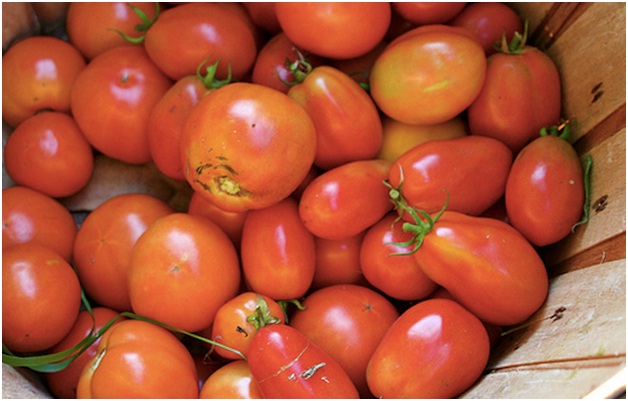 Tomatoes