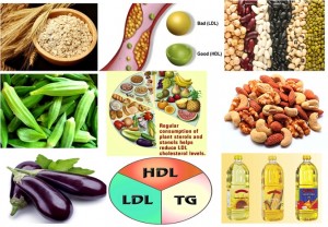 CHOLESTEROL REDUCING FOODS, WHERE ARE THEY?