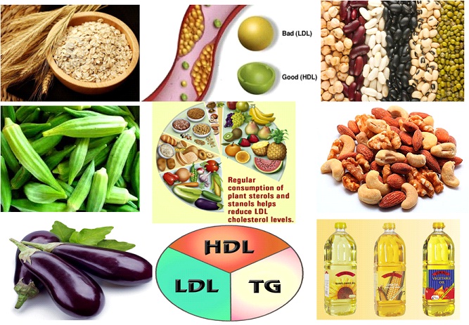 CHOLESTEROL REDUCING FOODS, WHERE ARE THEY?