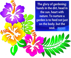 THE HEALING POWER OF GARDENING