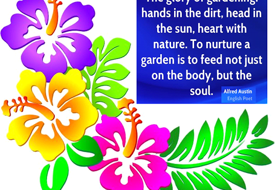 THE HEALING POWER OF GARDENING