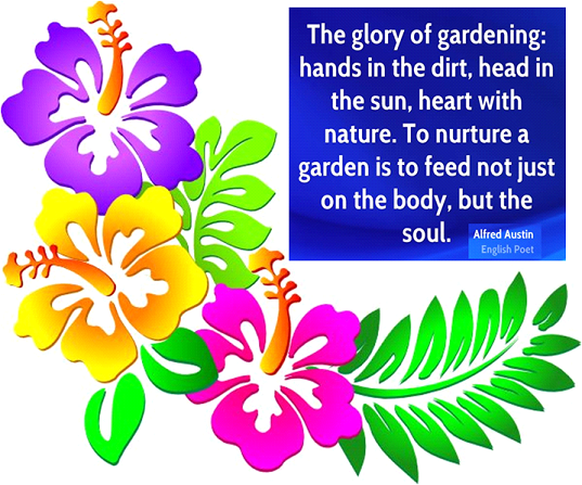 THE HEALING POWER OF GARDENING