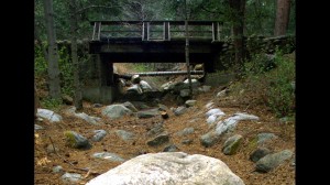 Fantastic News: Nestlé To Be Sued For Californian Drought Crimes!