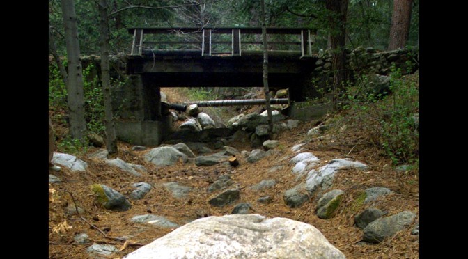 Fantastic News: Nestlé To Be Sued For Californian Drought Crimes!