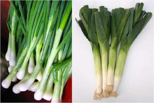 Scallions & Leeks