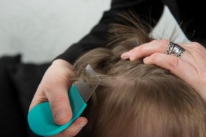 Nitpicking and combing