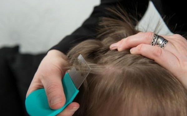 Nitpicking and combing