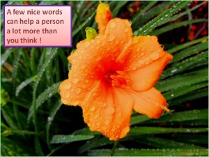 BENEFITS OF BEING NICE TO OTHERS