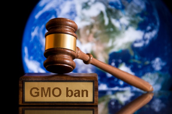 Seed Patenting is banned in Venezuvela!