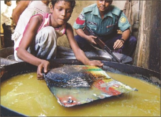 Ghee Adulteration