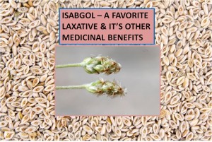 ISABGOL - A WONDERFUL & FAVORITE MEDICINE OF ALL