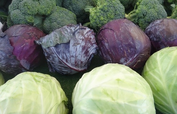 Broccoli & Cabbage