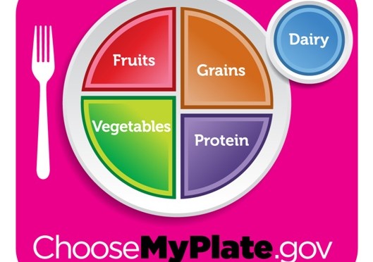 Choose Myplate USA