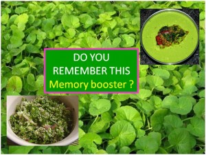 MEMORY BOOSTER: GOTU KOLA (ONDELAGA, TIMIRE) DISHES