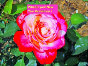 New Year Resolutions