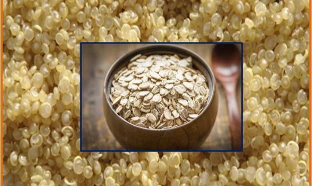 Quinoa & Oats