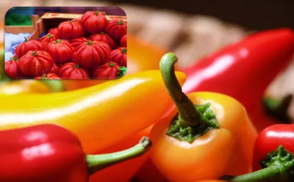 Tomatoes & Hot peppers