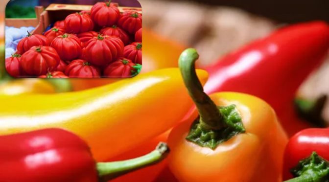 Tomatoes & Hot peppers