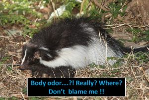 EMBARASSING BODY ODOR - HOW TO FIX THE PROBLEM?
