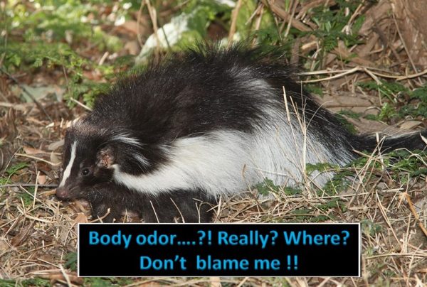 EMBARASSING BODY ODOR - HOW TO FIX THE PROBLEM?