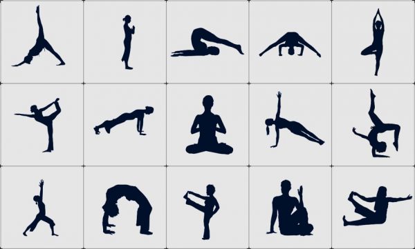 HOW TO KEEP BODY MUSCLES FLEXIBLE AND ACTIVE